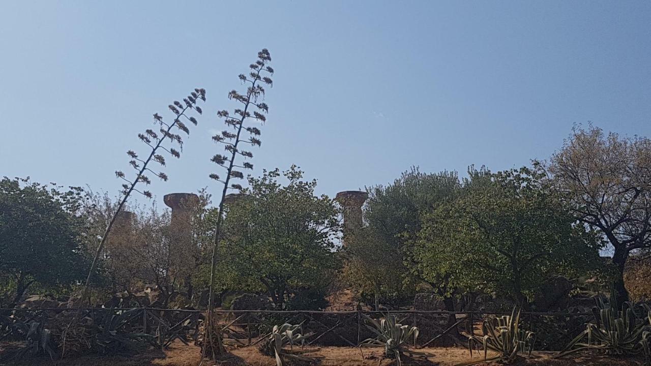 Appartamento Valle dei Templi al Mare - Casa Vacanze a San Leone Agrigento Esterno foto